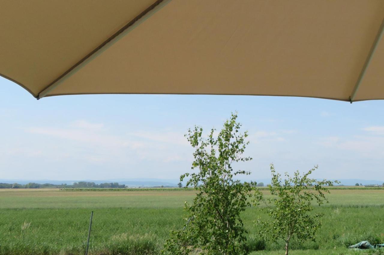 Studio-Apartment Trausdorf an der Wulka Zewnętrze zdjęcie